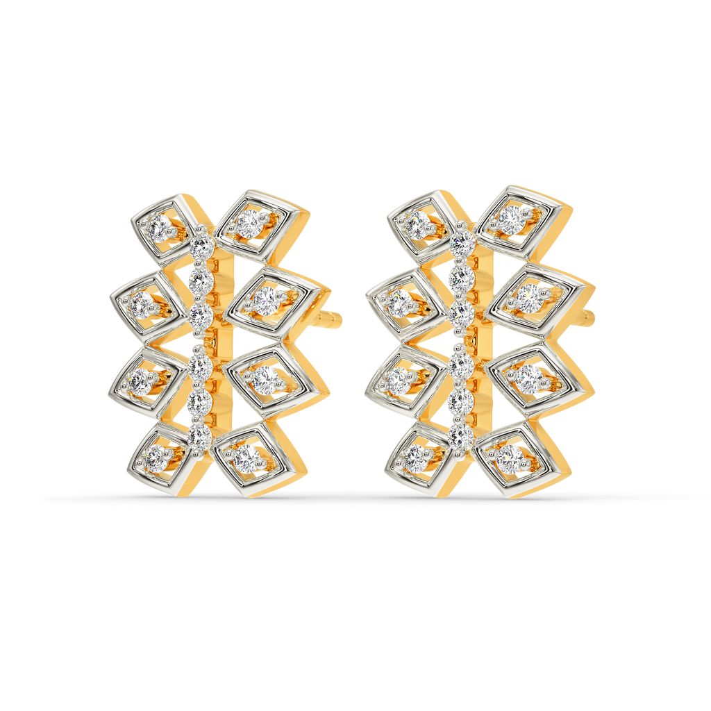 Net Around Diamond Earrings