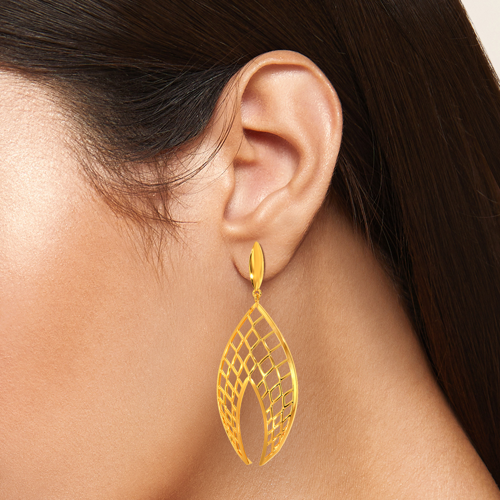 Net Zoned Gold Earrings