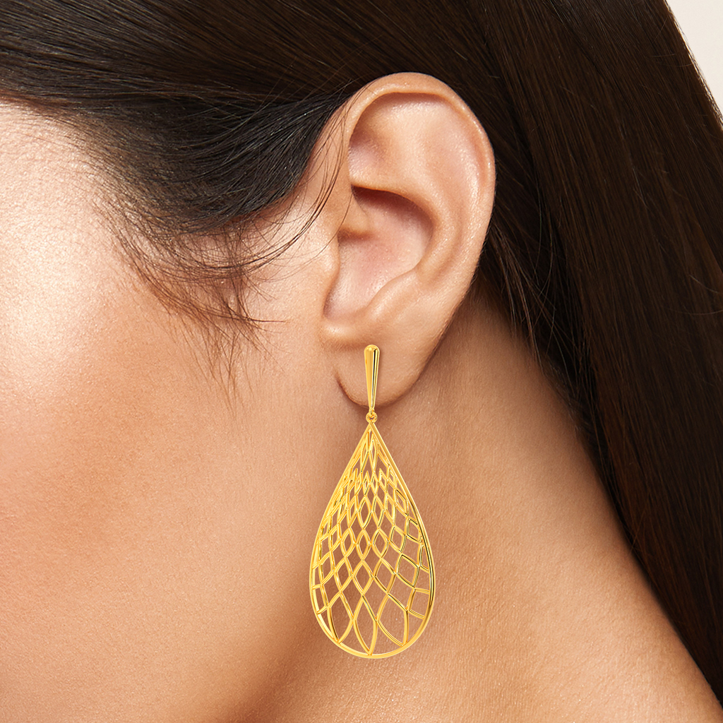 Net Zoned Gold Earrings