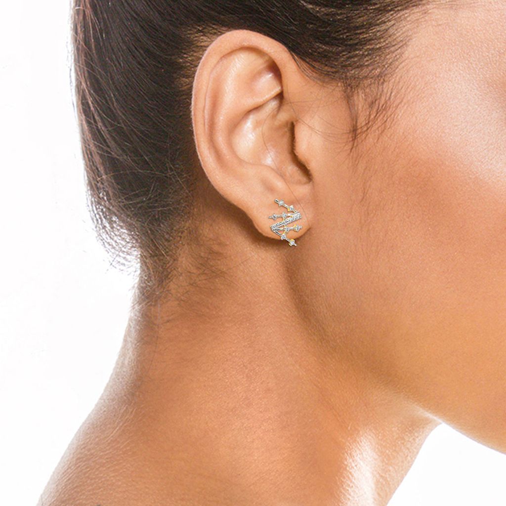 Glitter Chic Diamond Earrings