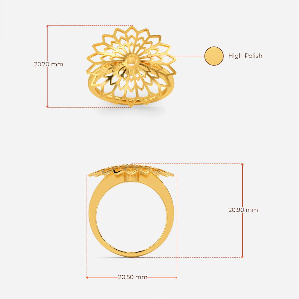 Fun in the Sun Gold Rings image