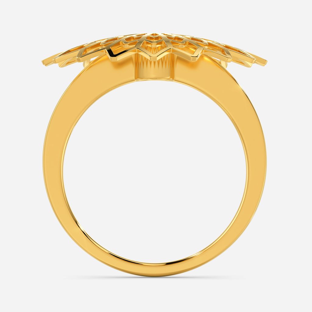 Fun in the Sun Gold Rings image