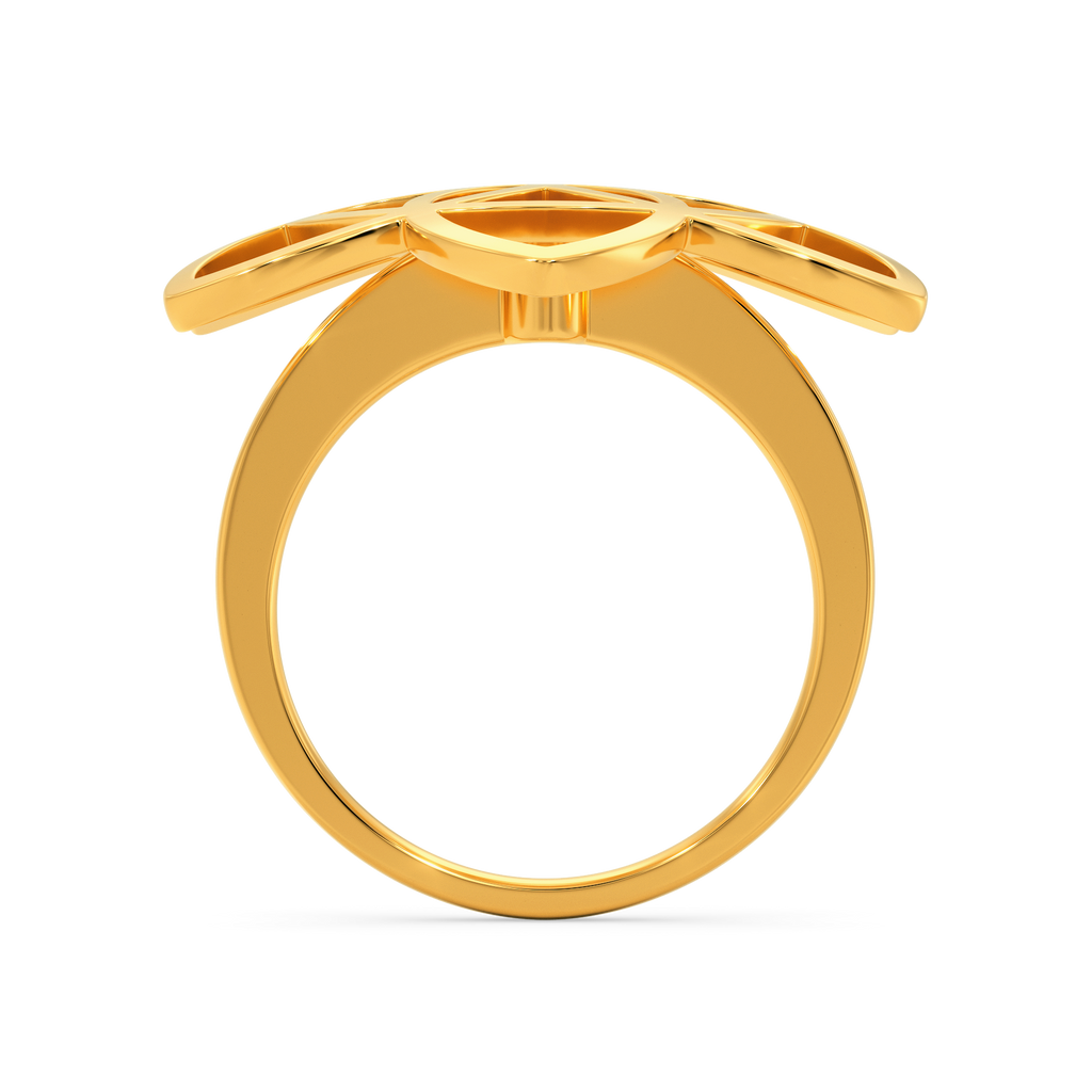 Song Of The Stars Gold Rings image
