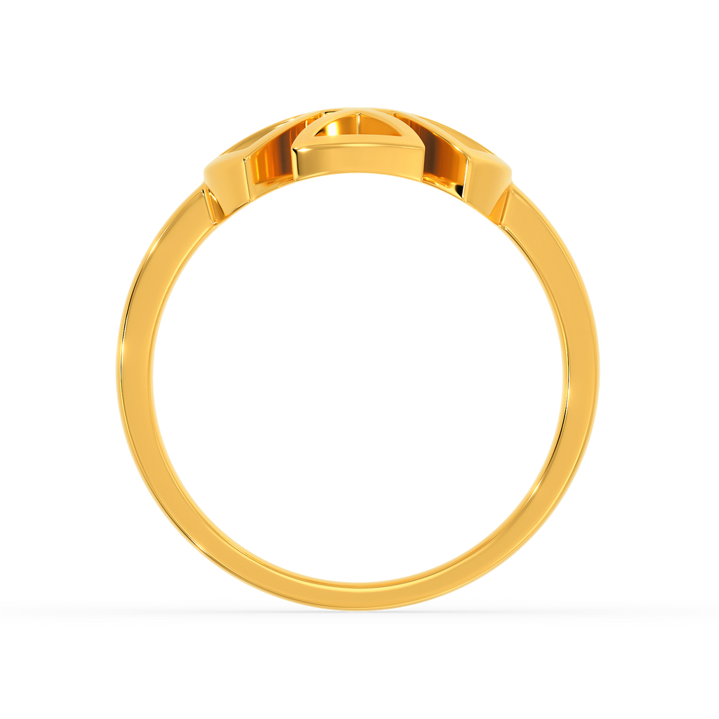 Take On The Cut Out Gold Rings image