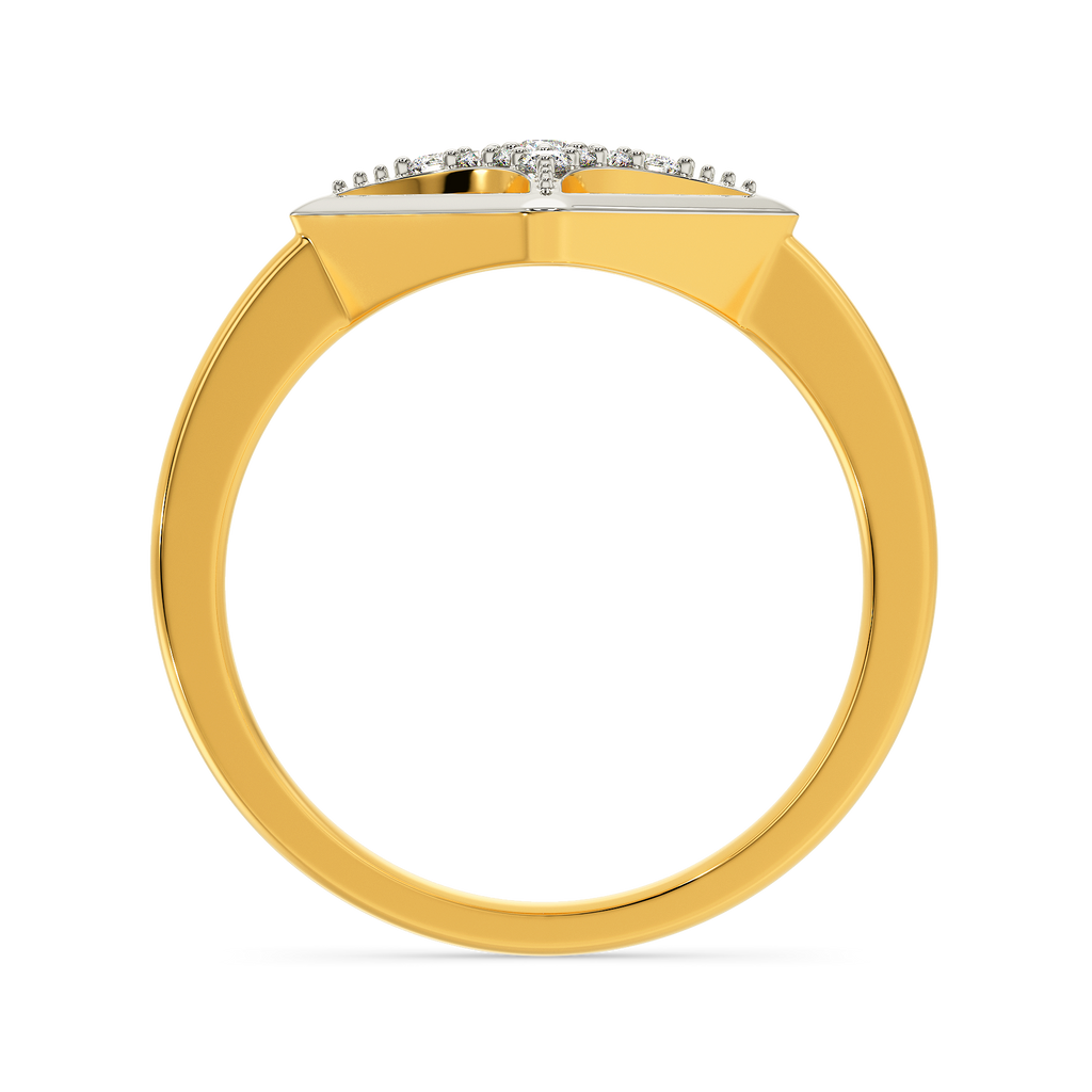 Dare To Reveal Diamond Rings image