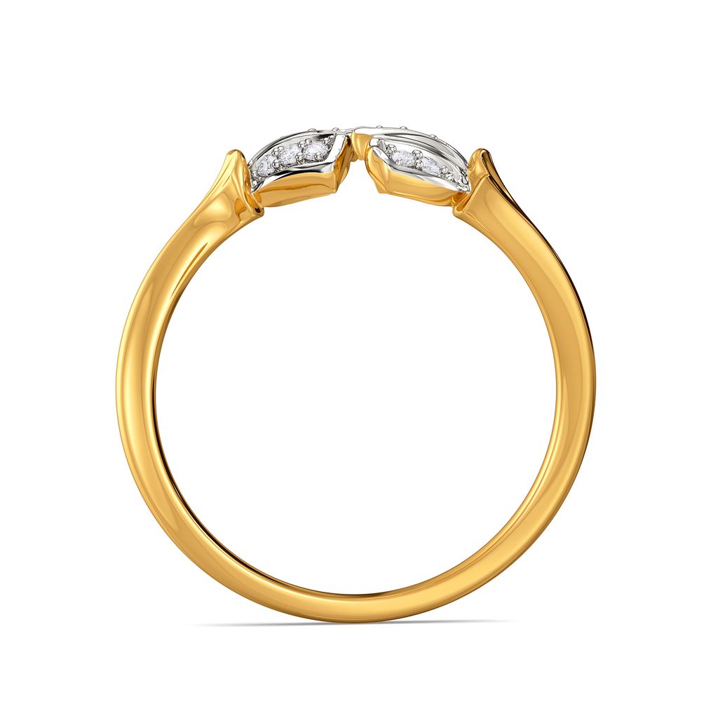 The Wilderness Diamond Rings image