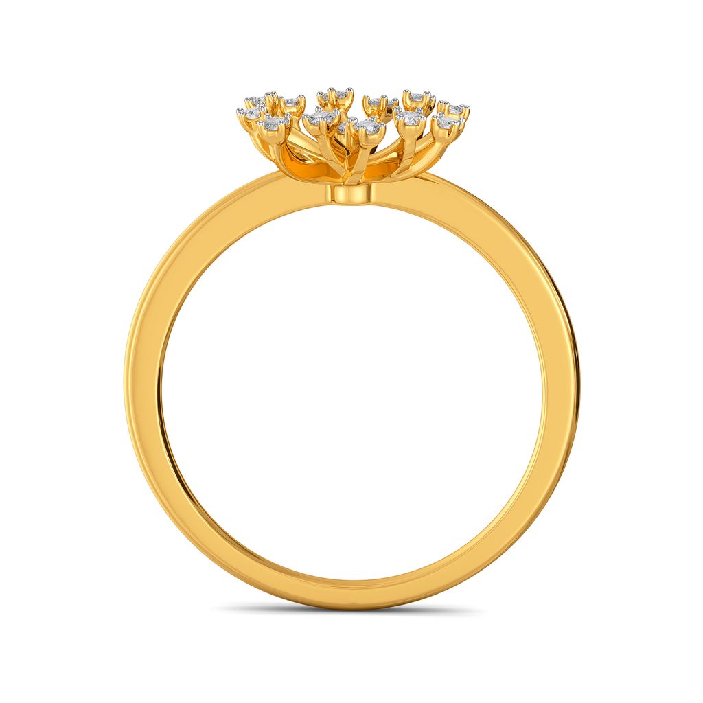 Dandelion Dates Diamond Rings image