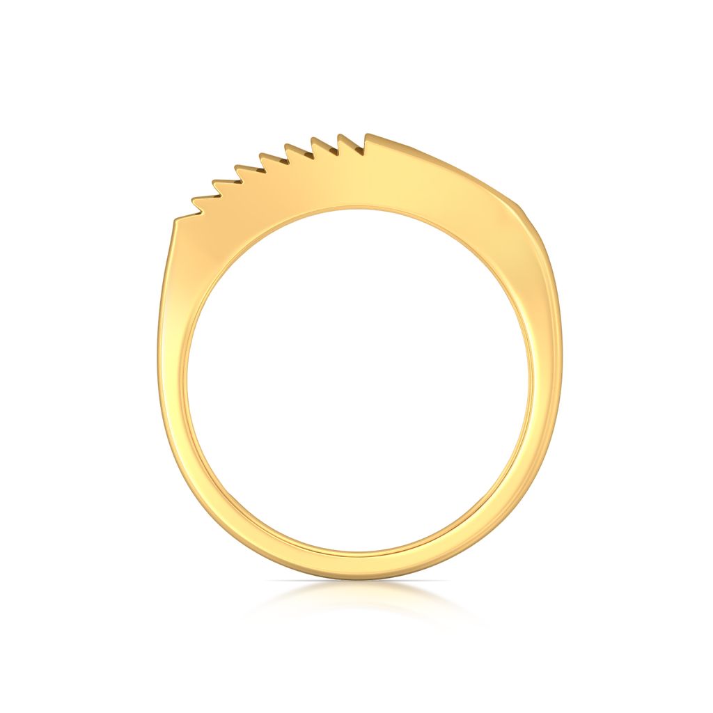 Skylight Gold Rings image