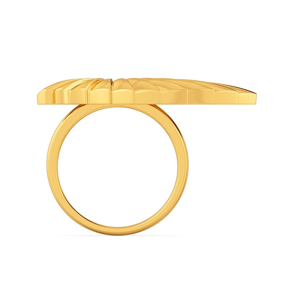 Fan of Pleats Gold Rings image