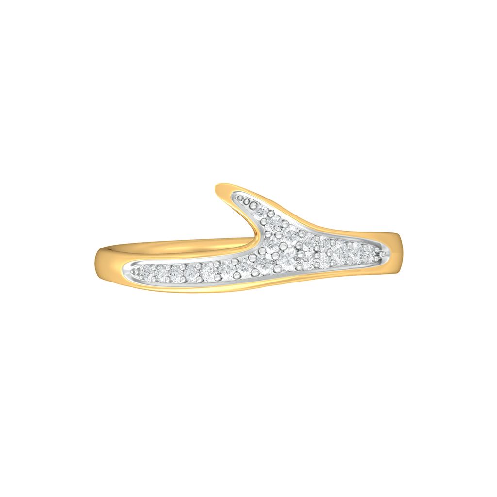 Animal Song Diamond Rings image