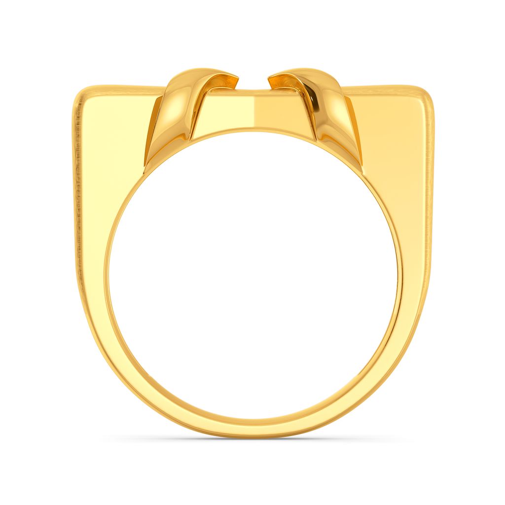 Spirit O Vice Gold Rings image