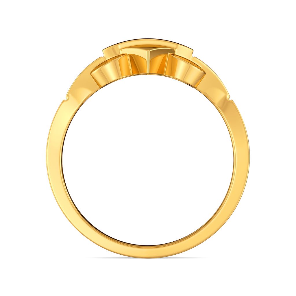 Chic Tunic Gold Rings image