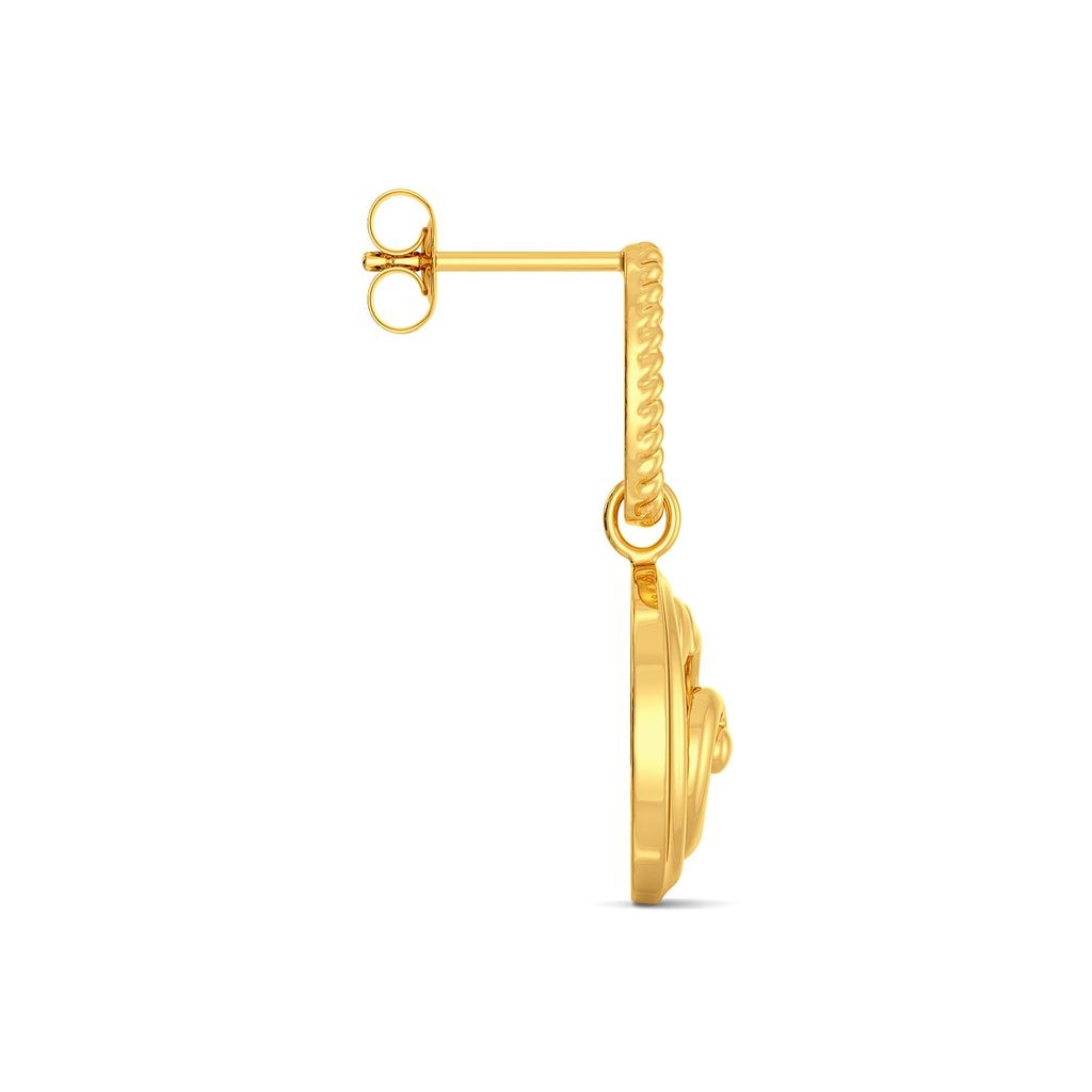 Hooks N Nooks Gold Earrings