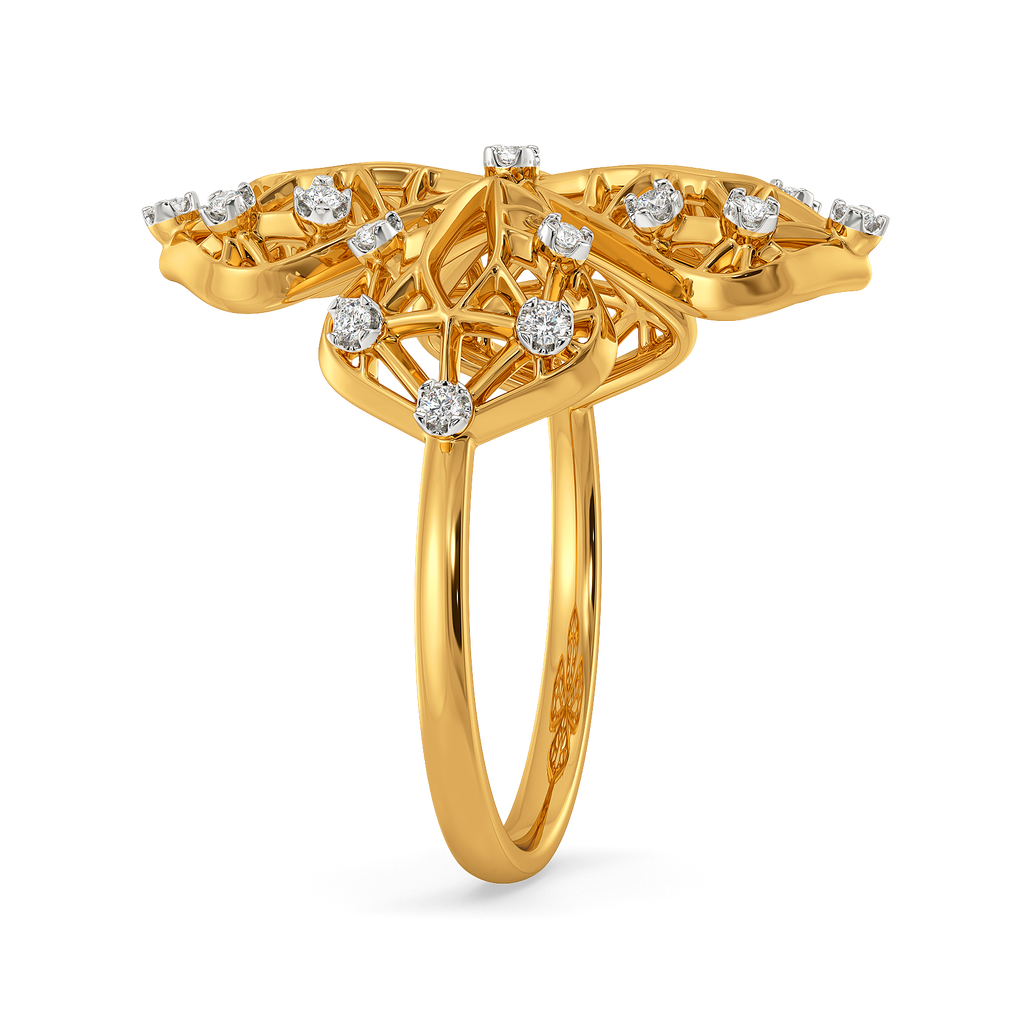 Quiet kind of statement Diamond Rings image