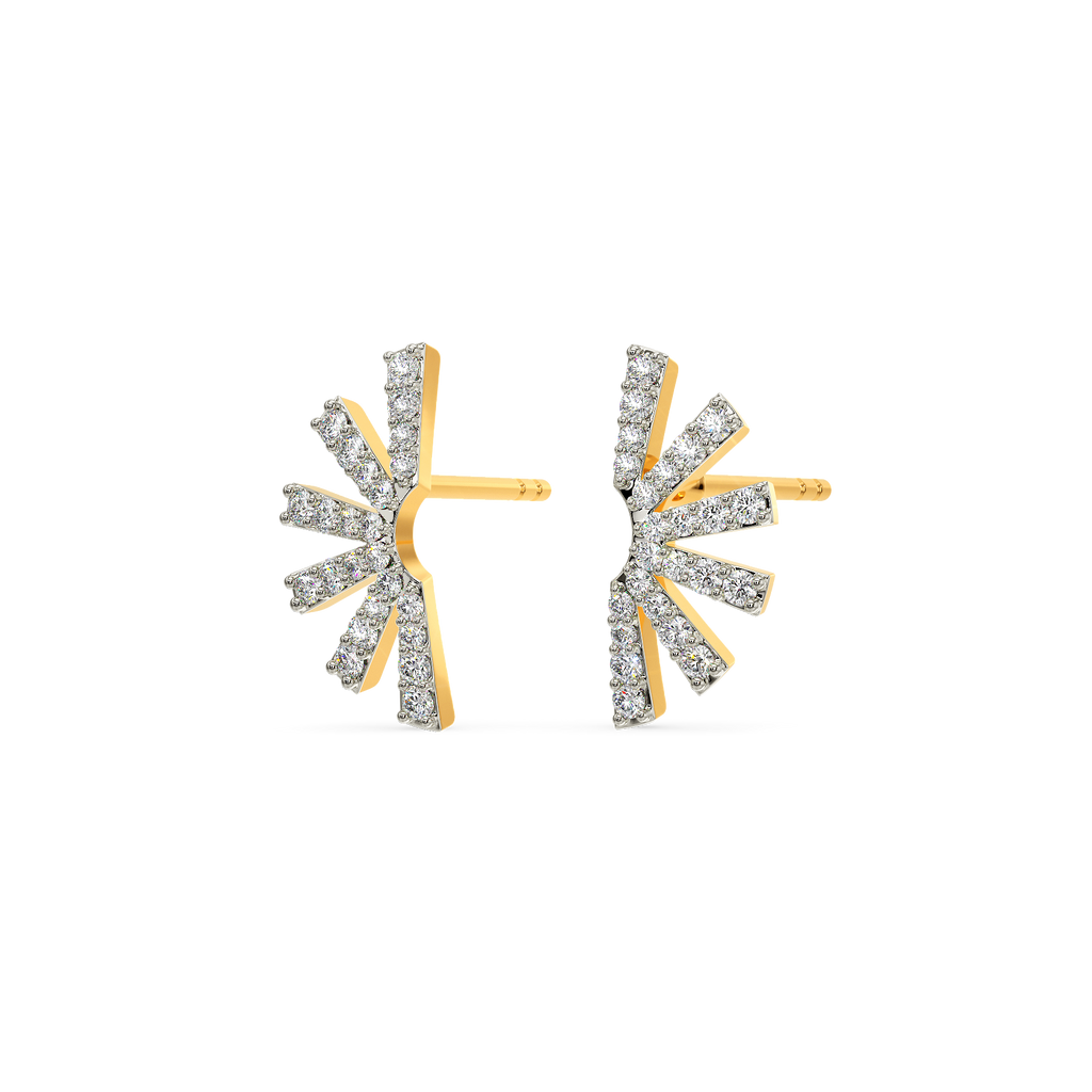 Bling Bling Diamond Earrings