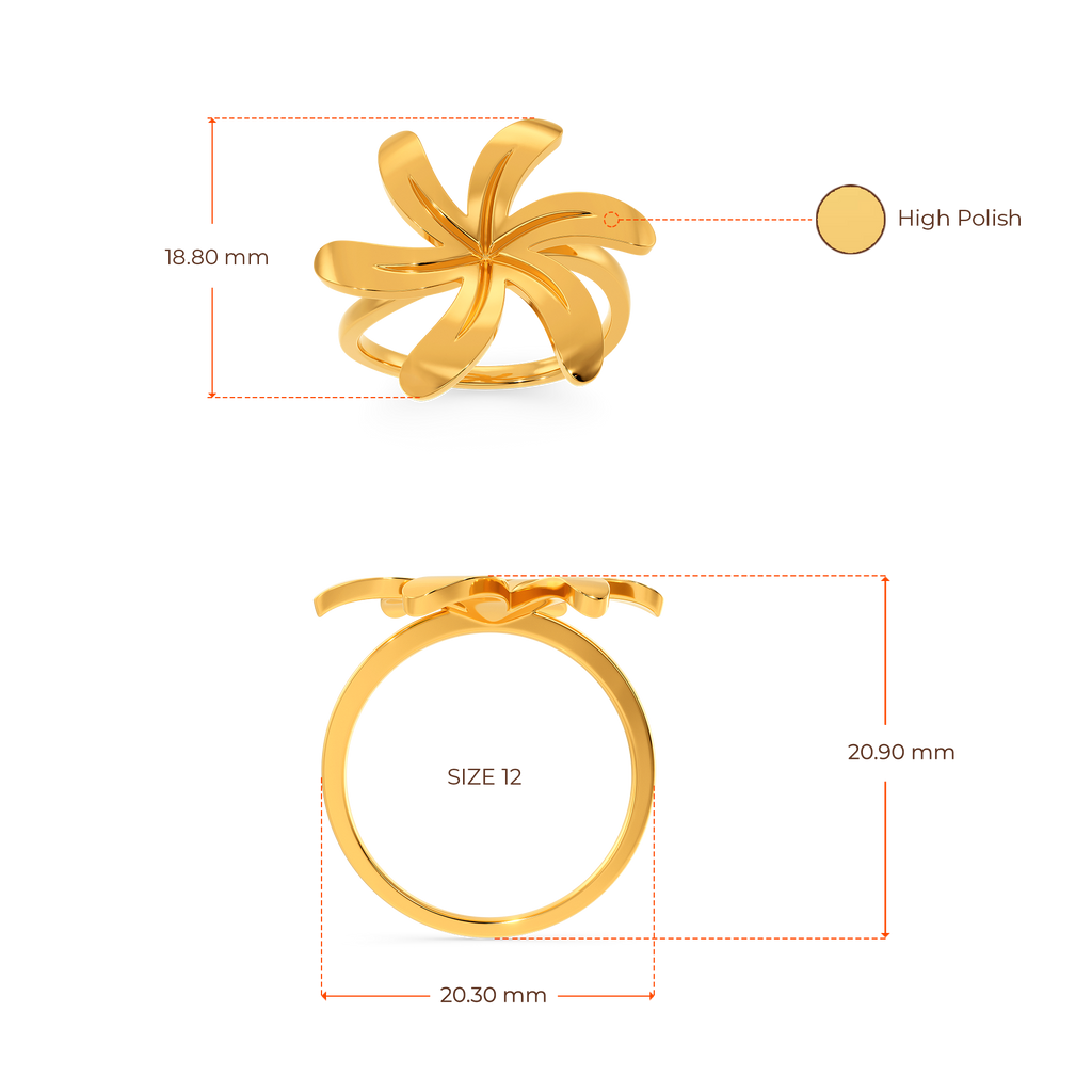 Song Of The Jasmine Gold Rings image