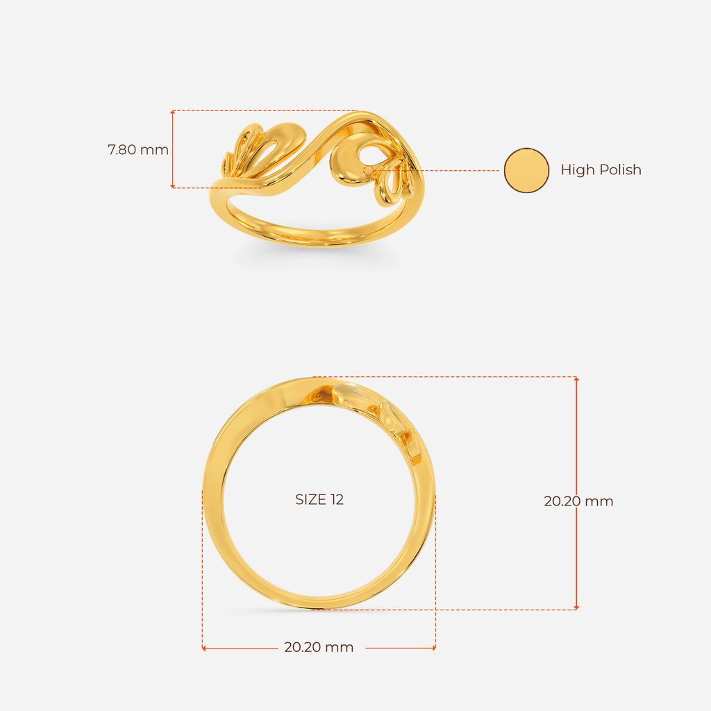 The Maximalist Gold Rings image