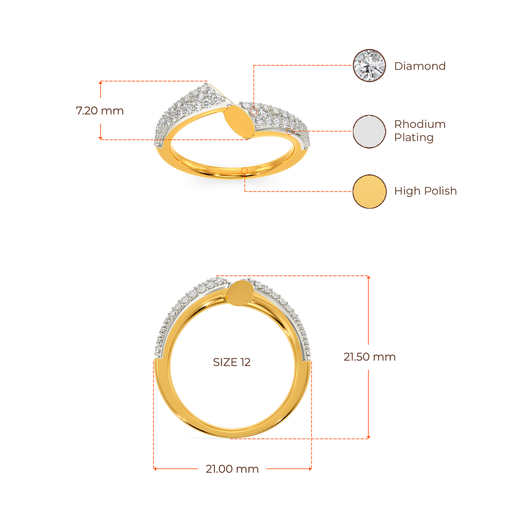 Defying Punk Diamond Rings image