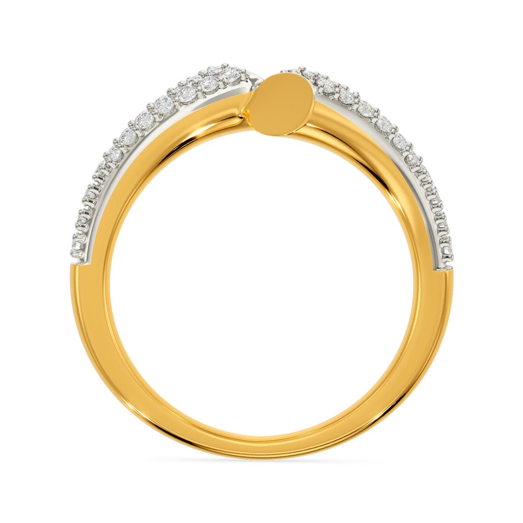 Defying Punk Diamond Rings image