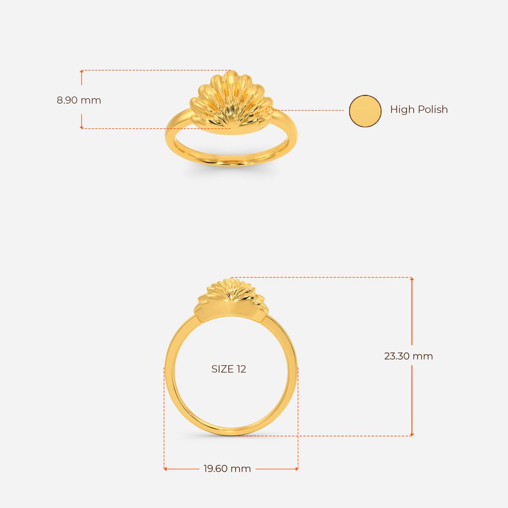 Shell Muse Gold Rings image