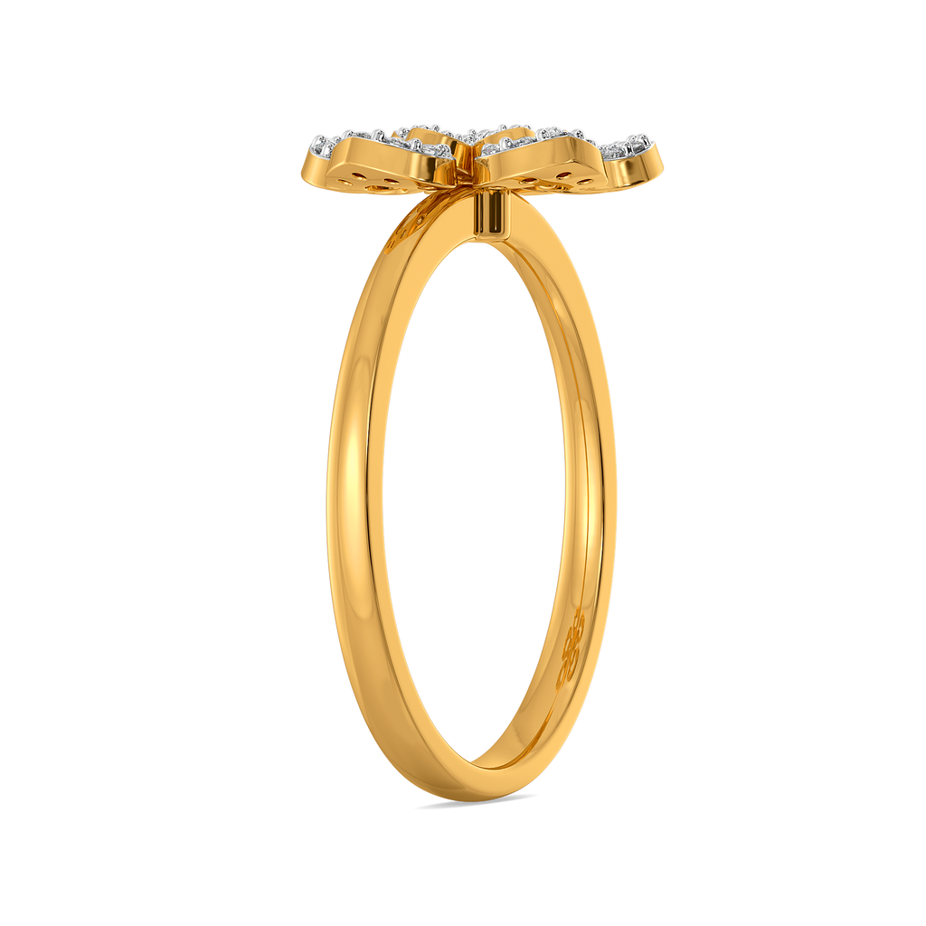 In a Paperland Diamond Rings image