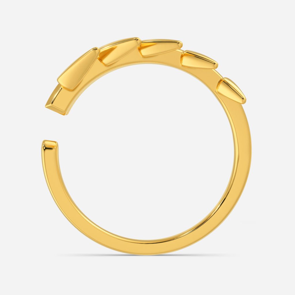 Zip Along Gold Rings image