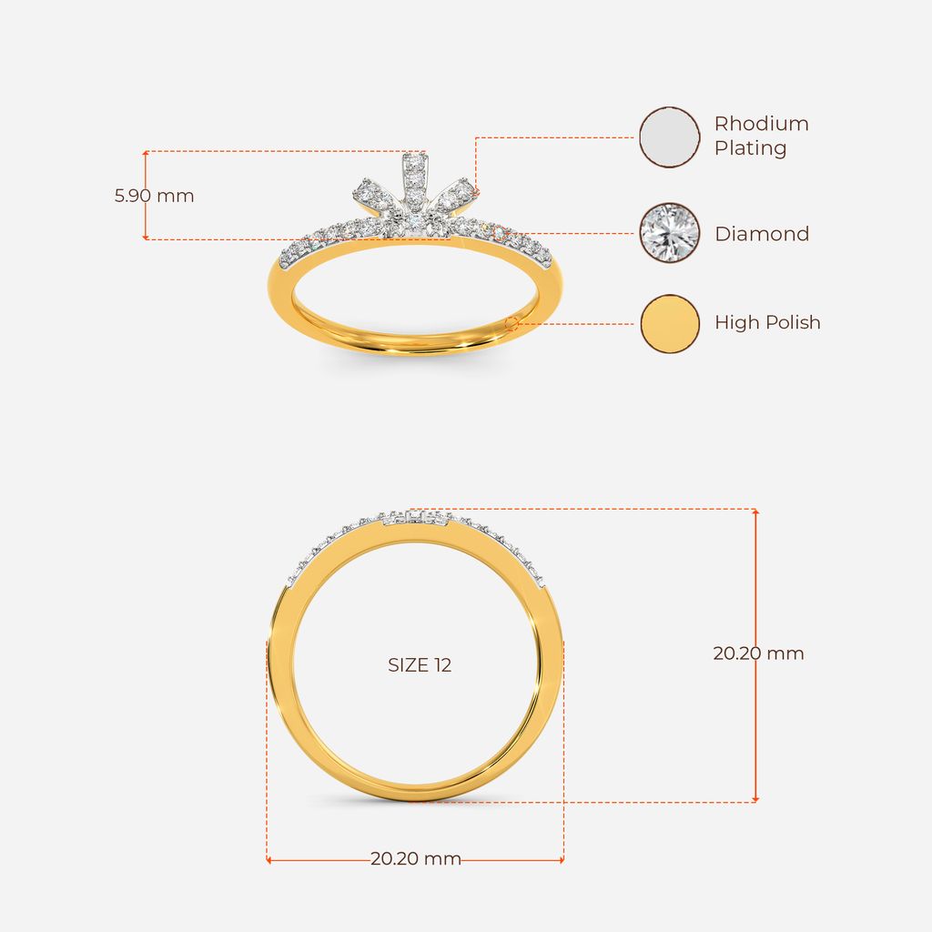 Zippy Chic Diamond Rings image