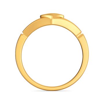 Pont des Arts  Gold Rings