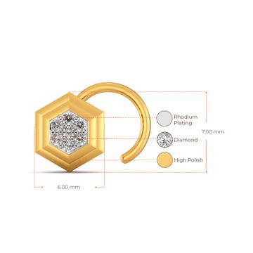 Crisp Suiting Diamond Nose Pins