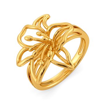 Lily Leisures Gold Rings