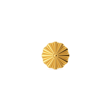 Polished Move Gold Earrings For Men