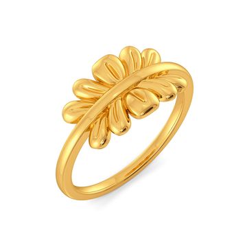 Curly Beach Gold Rings