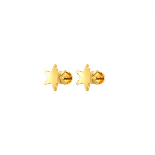 Star Revoir Gold Earrings