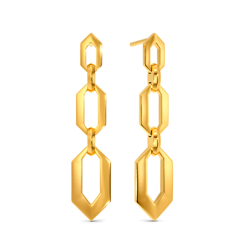 Chains In Hexa Gold Earrings