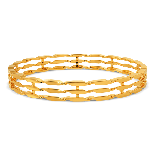 Meshy Future Gold Bangles