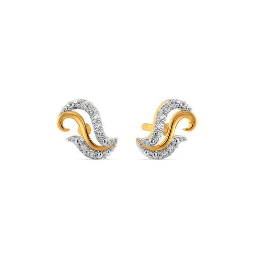 Extra bit more Fabulous Diamond Earrings