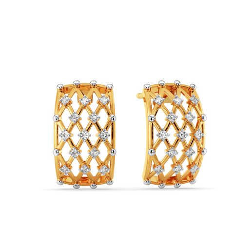 Lets Mesh It  Diamond Earrings