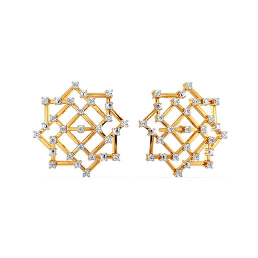 Hot Mesh Diamond Earrings