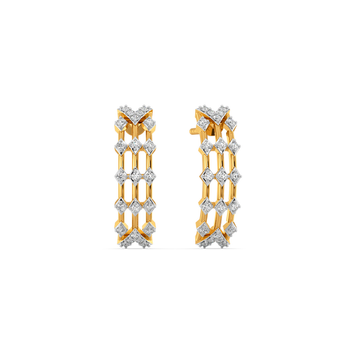 Gleam Cluster  Diamond Earrings