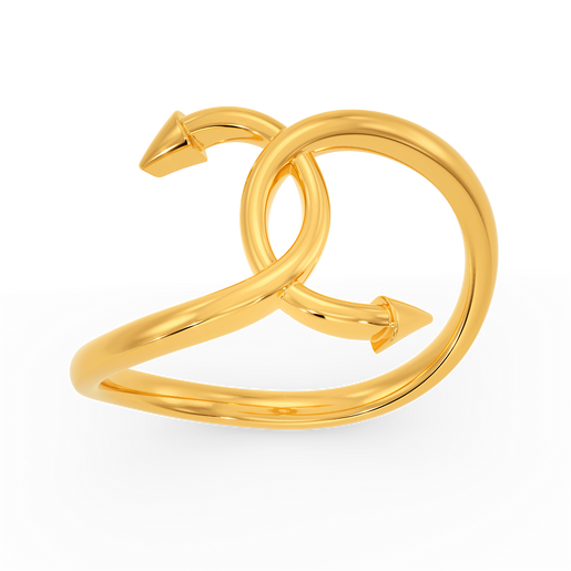 Punk Cover Gold Rings